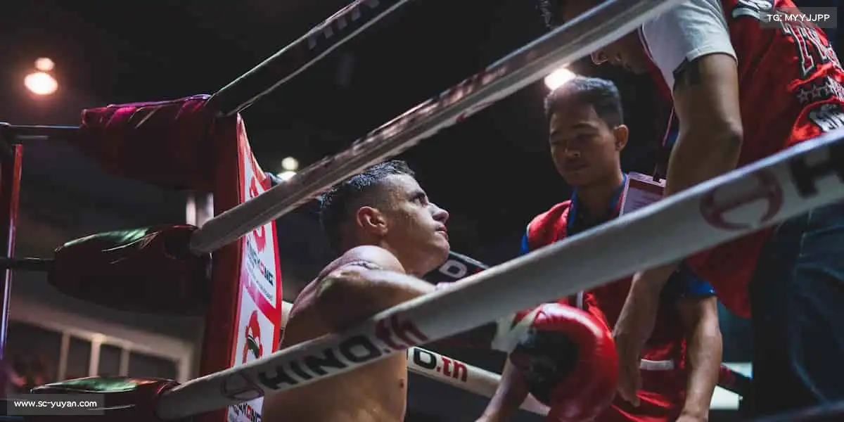 雨燕体育直播——每一次挥拍，都是蜕变！